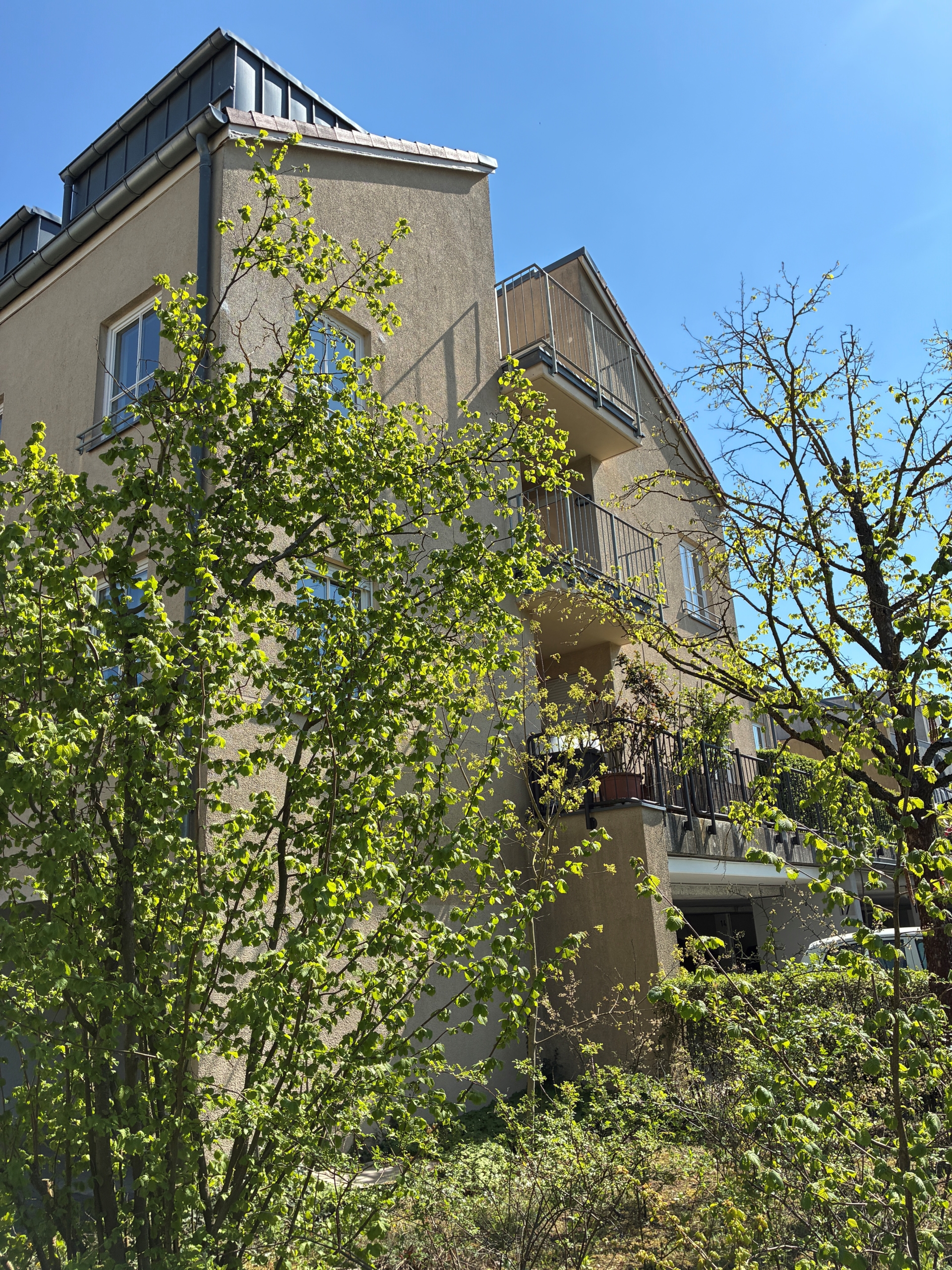 BEZUGSFREI: Attraktive 3-Zimmer-Wohnung mit Sonnen-Loggia und Blick ins Grüne